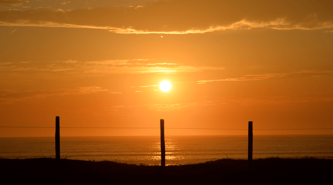 Embracing the Solstice: Celebrating the Longest Day of the Year