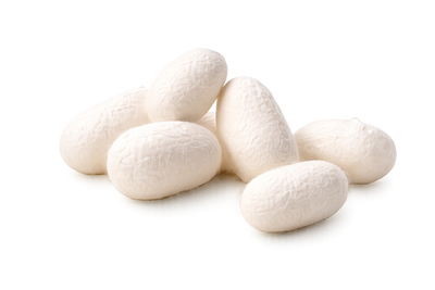 Silk Protein