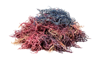 Sea Moss