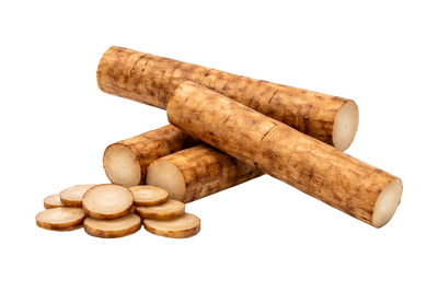 Burdock Root